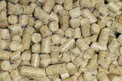 Parwich biomass boiler costs